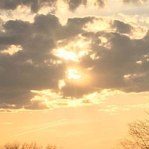 Meet your Posher, Tonya